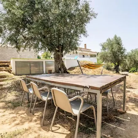 Casa Da Figueira - Pool And Lounge